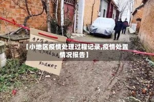【小地区疫情处理过程记录,疫情处置情况报告】