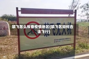 禁飞怎么报备疫情地区(禁飞区如何合法飞行)