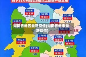 湖南各地区最新疫情(湖南各地市最新疫情)