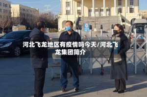 河北飞龙地区有疫情吗今天/河北飞龙集团简介