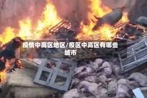 疫情中高区地区/疫区中高区有哪些城市