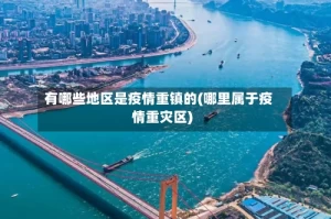 有哪些地区是疫情重镇的(哪里属于疫情重灾区)