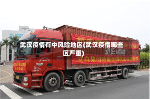 武汉疫情有中风险地区(武汉疫情哪些区严重)