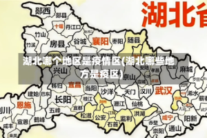 湖北哪个地区是疫情区(湖北哪些地方是疫区)