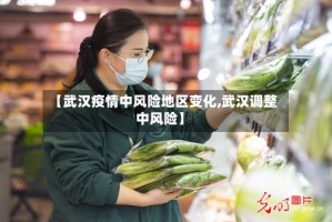 【武汉疫情中风险地区变化,武汉调整中风险】