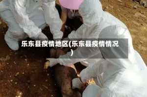 乐东县疫情地区(乐东县疫情情况)