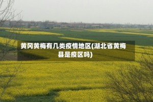 黄冈黄梅有几类疫情地区(湖北省黄梅县是疫区吗)