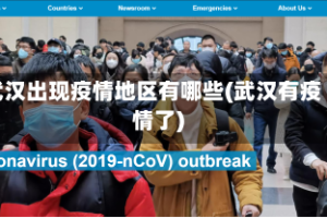 武汉出现疫情地区有哪些(武汉有疫情了)