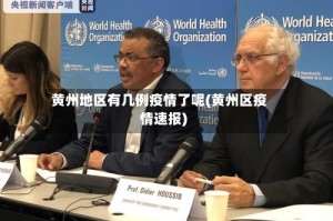 黄州地区有几例疫情了呢(黄州区疫情速报)