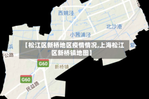 【松江区新桥地区疫情情况,上海松江区新桥镇地图】