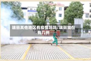 瑞丽其他地区有疫情吗吗/瑞丽现在有几例
