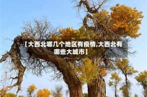 【大西北哪几个地区有疫情,大西北有哪些大城市】