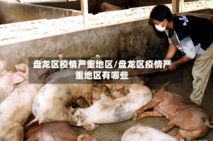 盘龙区疫情严重地区/盘龙区疫情严重地区有哪些