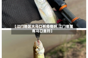 【江门地区大马口有疫情吗,江门哪里有马口鱼钓】