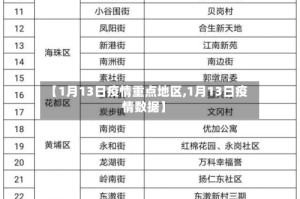 【1月13日疫情重点地区,1月13日疫情数据】