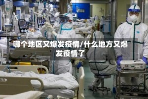 哪个地区又爆发疫情/什么地方又爆发疫情了