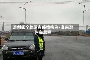澧州哪个地区有疫情病例/湖南澧州在哪里