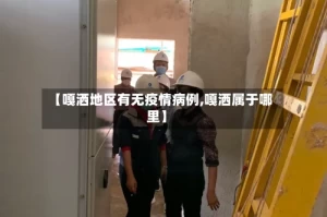 【嘎洒地区有无疫情病例,嘎洒属于哪里】