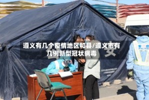 遵义有几个疫情地区和县/遵义市有几例新型冠状病毒