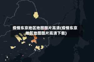 疫情东京地区地图图片高清(疫情东京地区地图图片高清下载)