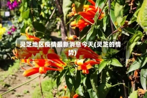 灵芝地区疫情最新消息今天(灵芝的情势)