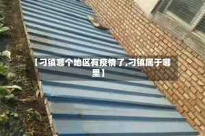 【刁镇哪个地区有疫情了,刁镇属于哪里】