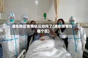 浦东地区疫情状况如何了(浦东疫情在哪个区)