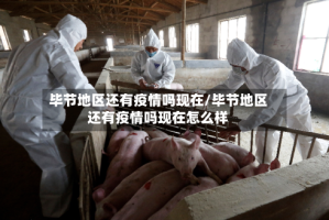 毕节地区还有疫情吗现在/毕节地区还有疫情吗现在怎么样