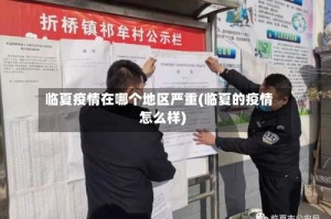 临夏疫情在哪个地区严重(临夏的疫情怎么样)
