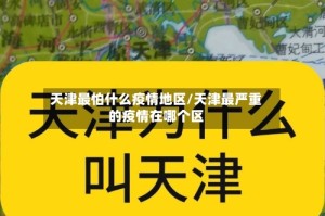 天津最怕什么疫情地区/天津最严重的疫情在哪个区