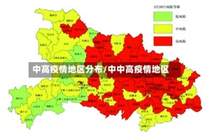 中高疫情地区分布/中中高疫情地区