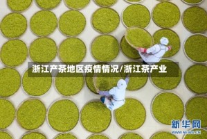 浙江产茶地区疫情情况/浙江茶产业