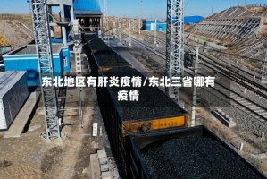 东北地区有肝炎疫情/东北三省哪有疫情