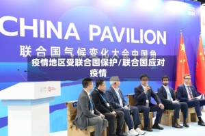 疫情地区受联合国保护/联合国应对疫情