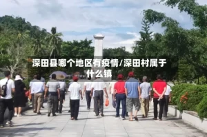 深田县哪个地区有疫情/深田村属于什么镇