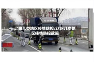 辽阳几类地区疫情防控/辽阳几类地区疫情防控政策