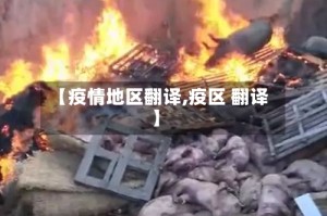 【疫情地区翻译,疫区 翻译】
