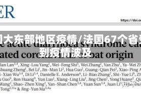 法国大东部地区疫情/法国67个省受到疫情波及