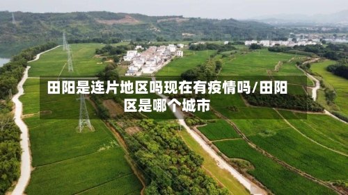 田阳是连片地区吗现在有疫情吗/田阳区是哪个城市-第2张图片