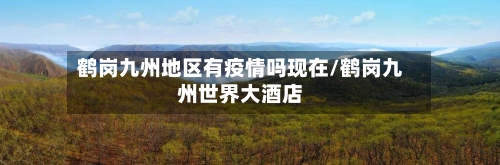 鹤岗九州地区有疫情吗现在/鹤岗九州世界大酒店-第1张图片