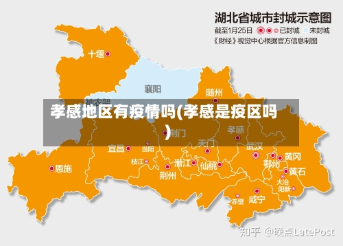 孝感地区有疫情吗(孝感是疫区吗)-第3张图片