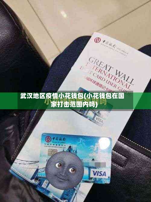 武汉地区疫情小花钱包(小花钱包在国家打击范围内吗)-第3张图片