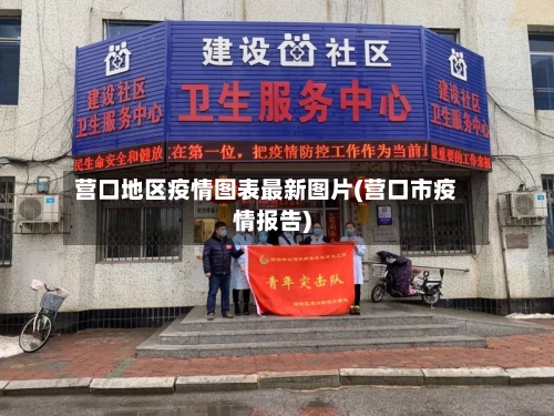 营口地区疫情图表最新图片(营口市疫情报告)-第2张图片