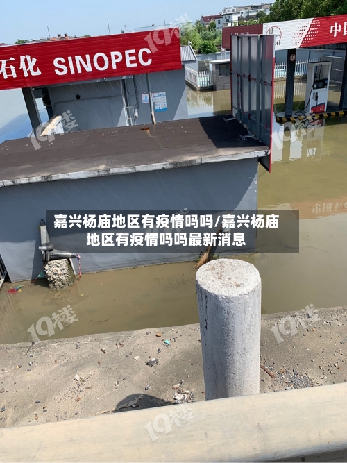 嘉兴杨庙地区有疫情吗吗/嘉兴杨庙地区有疫情吗吗最新消息-第1张图片