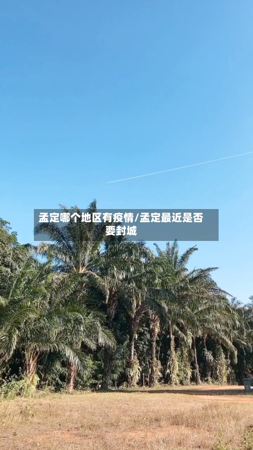 孟定哪个地区有疫情/孟定最近是否要封城-第1张图片
