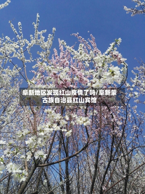 阜新地区发现红山疫情了吗/阜新蒙古族自治县红山宾馆-第1张图片