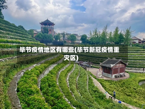 毕节疫情地区有哪些(毕节新冠疫情重灾区)-第1张图片