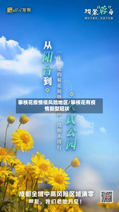 攀枝花疫情低风险地区/攀枝花有疫情新型冠状-第3张图片