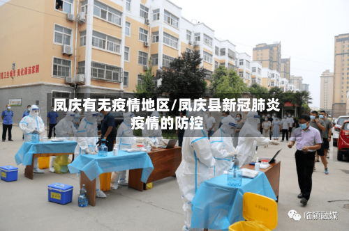 凤庆有无疫情地区/凤庆县新冠肺炎疫情的防控-第2张图片