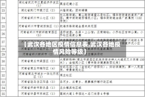 【武汉各地区疫情信息表,武汉各地疫情风险等级】-第1张图片